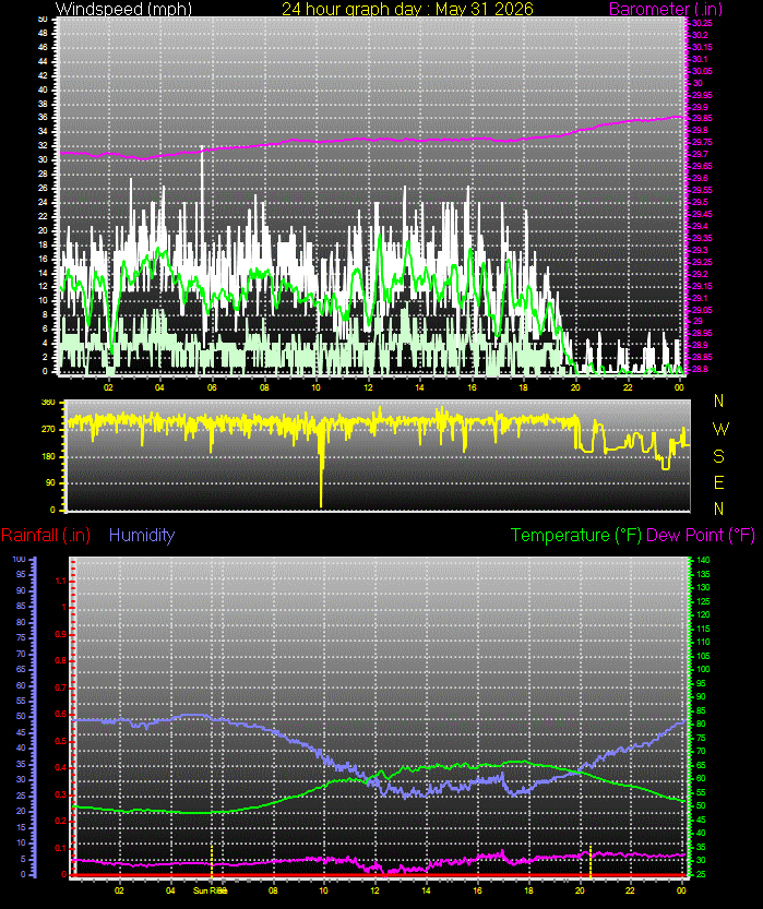 24 Hour Graph for Day 31